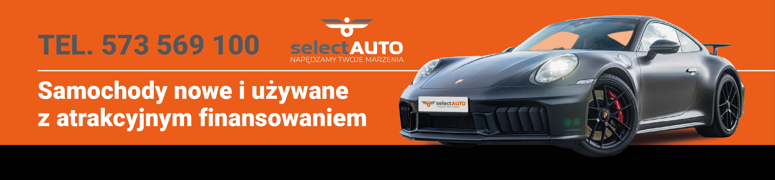 Porsche Banner